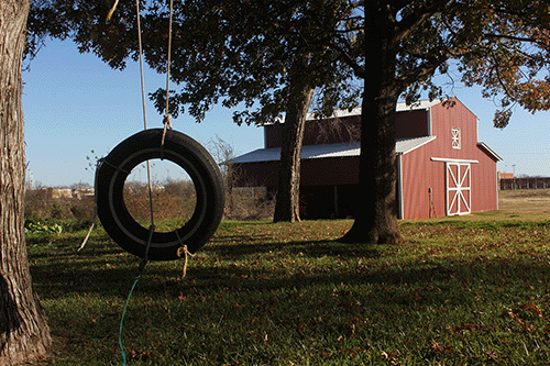 Red Barn and Swing in Country Setting